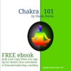 chakra 101 ebook